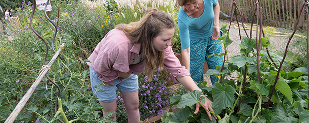 Studierende des Master of Education Biologie haben im Rahmen des Pilotprojekts 'Nachhaltig gärtnern' Bildungsmaterial zu ressourcen- und bodenschonendem Gärtnern entwickelt. (Foto: Peter Pulkowski) Studierende des Master of Education Biologie haben im Rahmen des Pilotprojekts 'Nachhaltig gärtnern' Bildungsmaterial zu ressourcen- und bodenschonendem Gärtnern entwickelt. (Foto: Peter Pulkowski)
