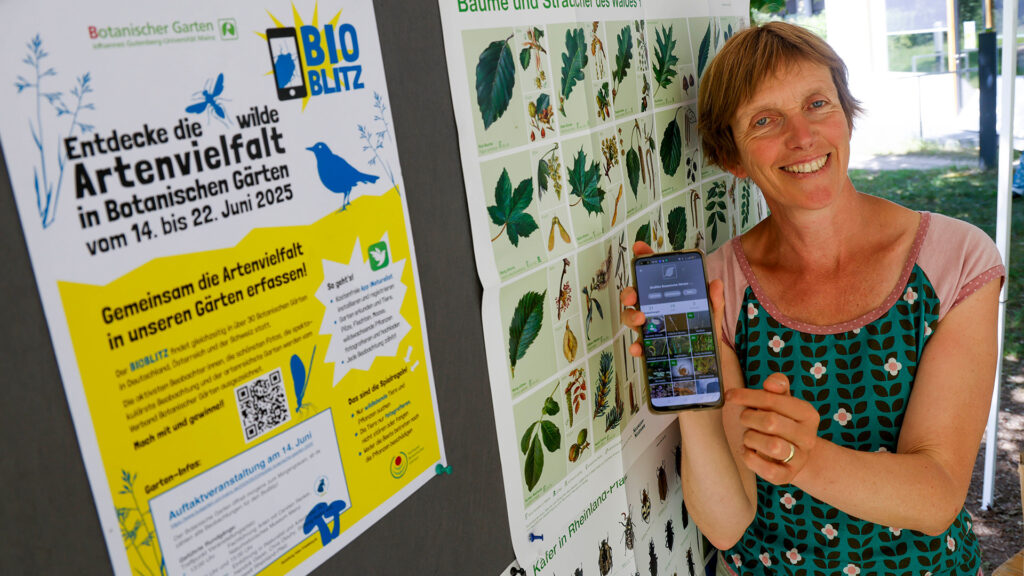 Bild in Originalgröße ansehen Dr. Ute Becker von der Grünen Schule im Botanischen Garten der JGU ist schon jetzt auf das Ergebnis des BioBlitz 2025 gespannt. (Foto: Stefan F. Sämmer)
