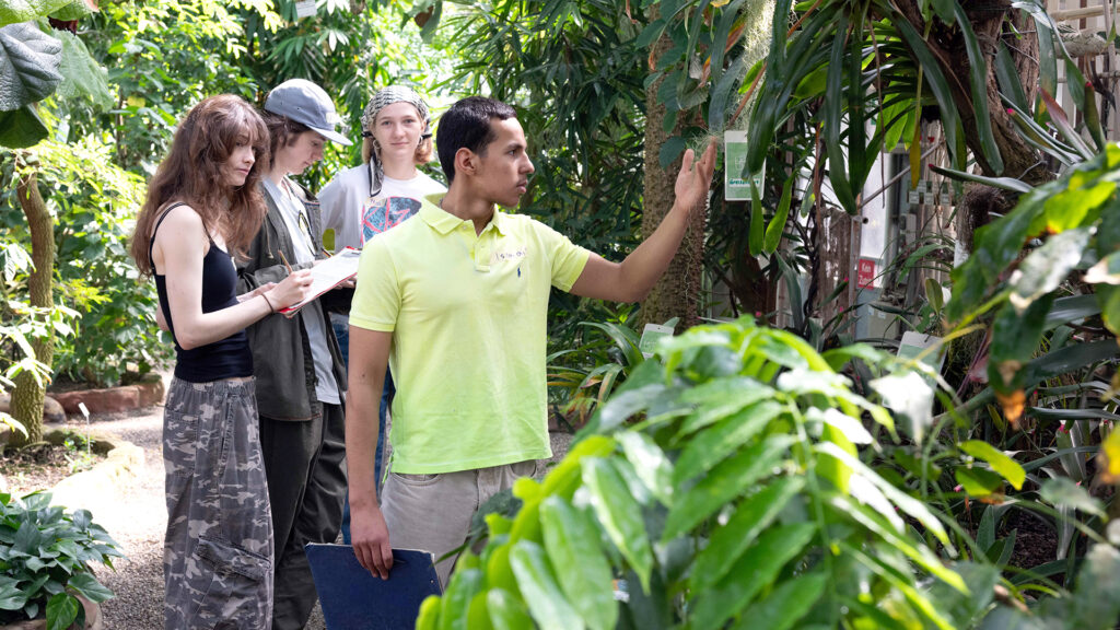 Bild in Originalgröße ansehen Das Kursangebot der Grünen Schule lädt zu Entdeckungsreisen in den Botanischen Garten ein. (Foto: Peter Thomas)