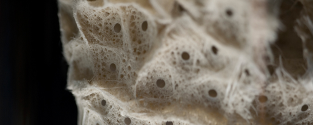 (Foto: Peter Pulkowski)