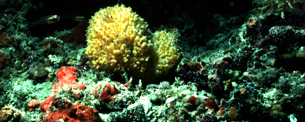 (Foto/©: Institut für Physiologische Chemie)