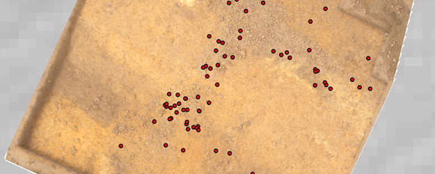 Blick auf die freigelegte Torgasse des Lagers von Hermeskeil mit Resten von Pflasterung; die roten Punkte markieren die Fundstellen von Schuhnägeln aus den Sandalen der römischen Soldaten. (Foto/©: Sabine Hornung, Arno Braun)