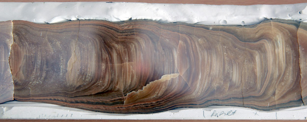 Anders als die Jahresringe eines Baumes sind die dünnen Streifen abhängig von Wärme, Vegetation und Feuchtigkeit. (Foto: Stefan F. Sämmer)