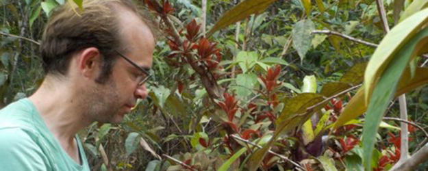 Das Thema Insektensterben findet laut Florian Menzel zu wenig Beachtung in den Medien – den Insekten fehlt der Niedlichkeitsfaktor anderer bedrohter Tierarten. (Foto: privat)