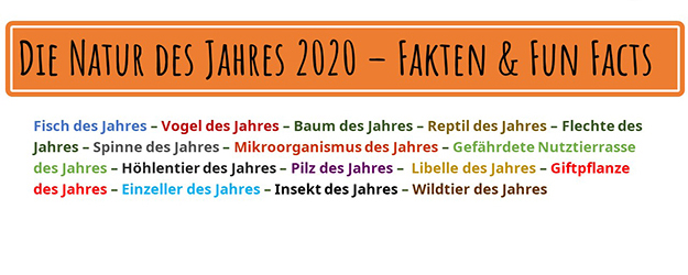 Die Studierenden haben insgesamt 16 Videos zu den verschiedenen Kategorien der Natur des Jahres 2020 produziert.