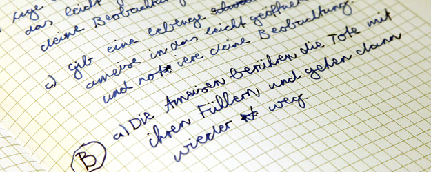 Die Schülerinnen und Schüler dokumentieren ihre Beobachtungen. (Foto: Stefan F. Sämmer)