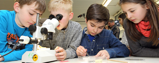 Nach rund sieben Monaten und vielen Beobachtungen trennen sich die Schülerinnen und Schüler oft nur schweren Herzens von ihren Ameisen. (Foto: Stefan F. Sämmer)