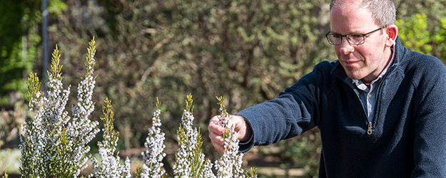 Dr. Michael Pirie erforscht seit vielen Jahren unter anderem das Heidekraut der Gattung 'Erica'. (Foto: Stefan F. Sämmer)