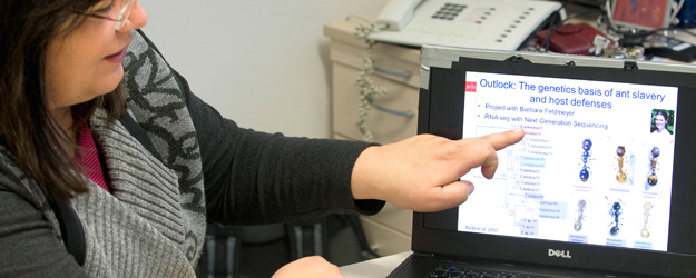 Prof. Dr. Susanne Foitzik erklärt die genetischen Grundlagen von Ameisensklaverei und Wirtsabwehr. (Foto: Peter Pulkowski)
