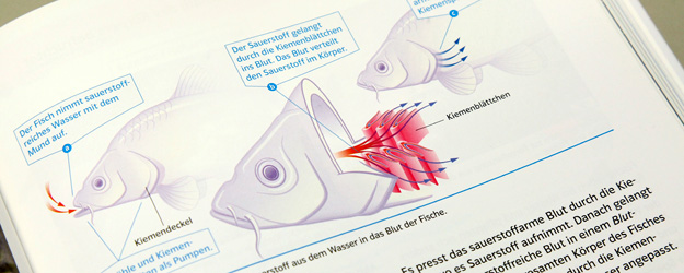 Die Inhalte der Markl Biologie-Schulbücher sind klar gegliedert, reich bebildert, mit vielen erläuternden Grafiken versehen und vor allem selbsterklärend. (Foto: Stefan F. Sämmer)