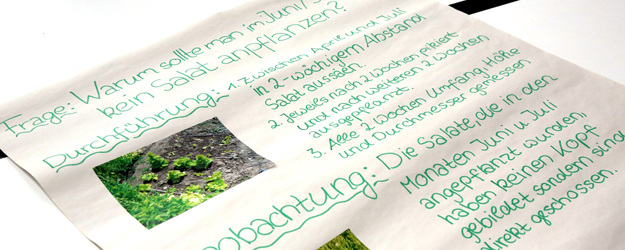 Lea Florine und Emily gingen der Frage nach, warum im Juni und Juli kein Salat angepflanzt werden sollte. (Foto: Stefan F. Sämmer)