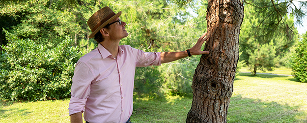 Während Jahr für Jahr im Botanischen Garten der JGU Bäume am Hitze- oder Trockenstress sterben, gedeihen dafür andere, die zum Beispiel aus dem Mittelmeerraum oder Nordamerika stammen. (Foto: Stefan F. Sämmer)