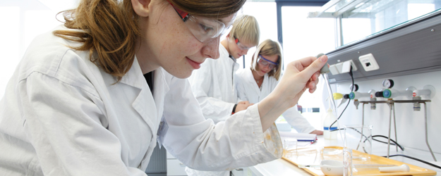 18 Schülerinnen und Schüler weihten mit der Ferienakademie 