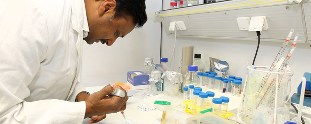 In Mainz möchte Prof. Dr. Krishnaraj Rajalingam ein hoch kompetentes Zentrum für molekulare Zellbiologie einrichten. (Foto: Stefan F. Sämmer)