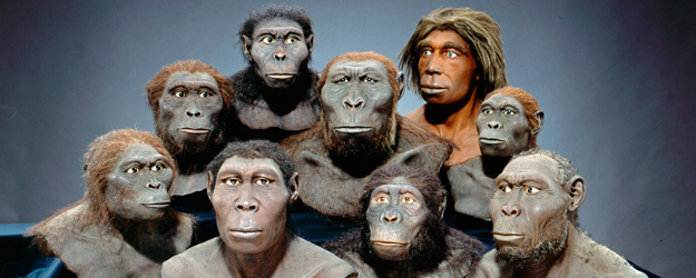 (© Wiss. Rekonstruktionen: W. Schnaubelt & N. Kieser - Atelier WILDLIFE ART für das Hessische Landesmuseum Darmstadt)