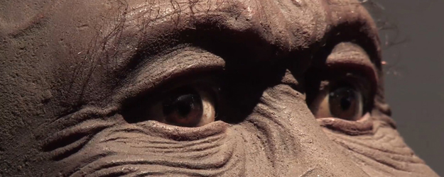 Mit Unterstützung der Forschungszentrums GEOCYCLES wurde nun zusammen mit der neuen Büste eine kleinen Sonderschau 