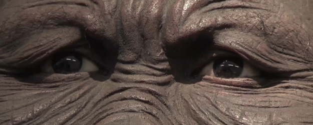 An den steinigen Ufern des Turkana-Sees fand Meave Leakey 1994 die bisher älteste bekannte Art des Australopithecus, den Australopithecus anamensis. (© JGU)