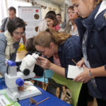 Der Botanische Garten der JGU war mit dem Thema 'Sortenvielfalt' vertreten und stellte in vielen Mitmachangeboten die Bedeutung der Sortenvielfalt für die Züchtungsforschung und eine nachhaltige Landwirtschaft heraus. (Foto: Stefan F. Sämmer)