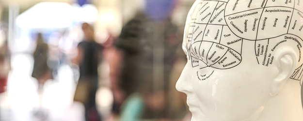 Mit dem Phrenologie-Kopf versuchte man im 19. und frühen 20.Jahrhundert, geistige Eigenschaften und Zustände bestimmten, klar abgegrenzten Hirnarealen zuzuordnen. (Foto: Stefan F. Sämmer)