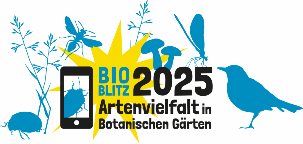BioBlitz 2025 (Link zur Website)